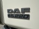 DAF 45.220 SHRNOVAČKA MĚCHY ČELO